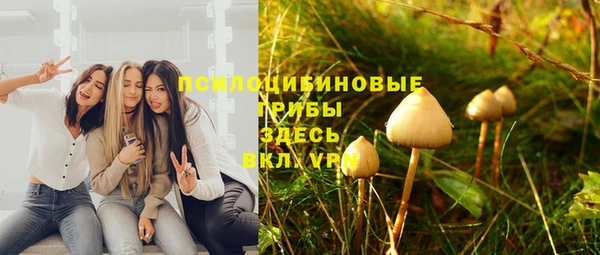 ешки Алексин