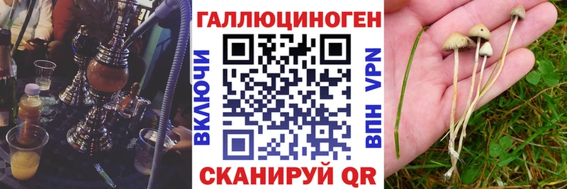 Галлюциногенные грибы ЛСД наркота Чебаркуль
